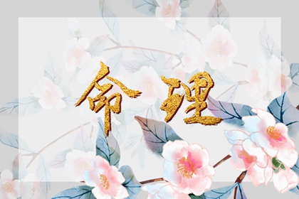 老皇历,老皇历查询,择吉皇历